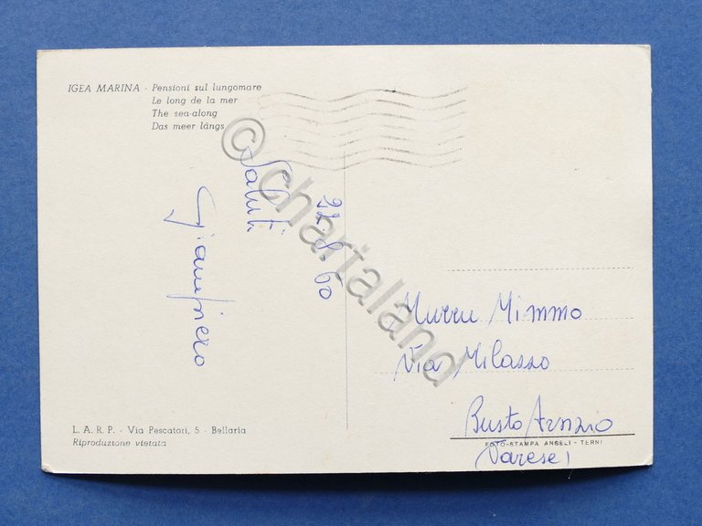 Cartolina Igea Marina - Pensioni sul Lungomare - 1960.