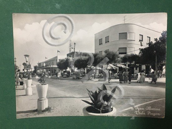 Cartolina Igea Marina - Viale Pinzone - 1956