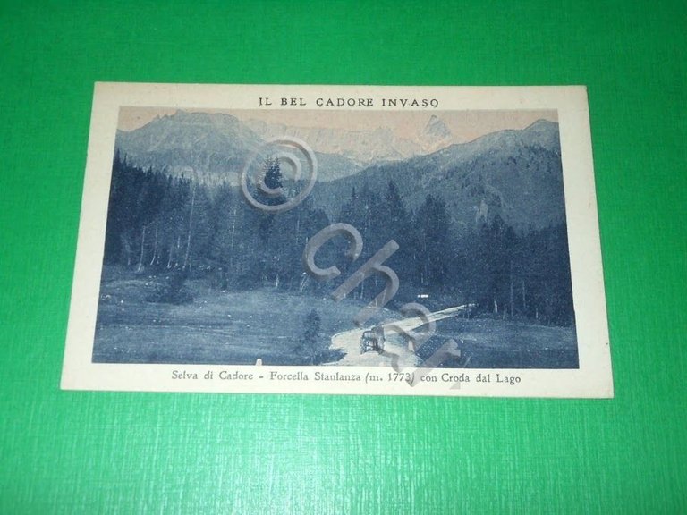 Cartolina Il bel Cadore invaso - Selva di Cadore - …