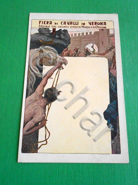 Cartolina illustrata - Verona - Fiera di Cavalli 1903 | Immagine Gallery 2