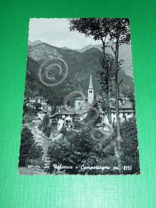 Cartolina In Valsesia - Campertogno - Scorcio panoramico 1955