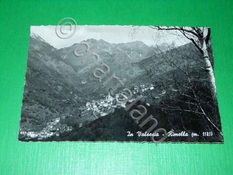 Cartolina In Valsesia - Rimella - Panorama 1956