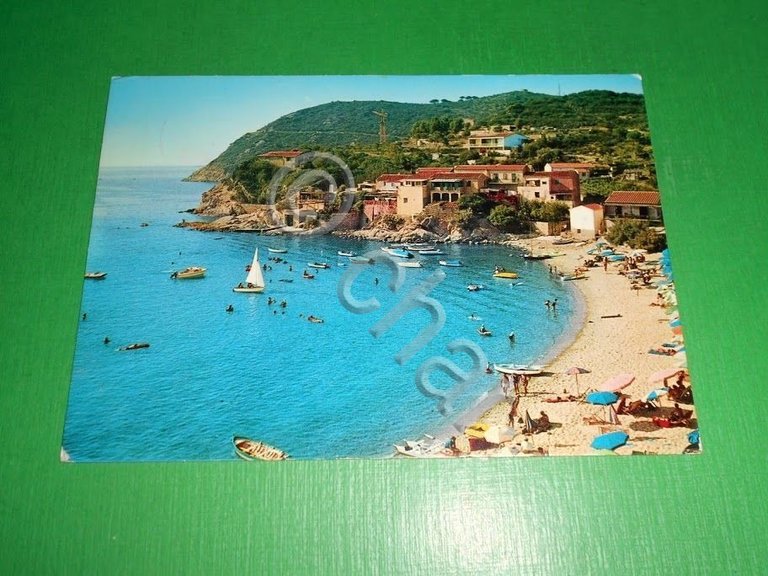 Cartolina Isola d' Elba - Lo Scaglieri 1972. | Immagine Gallery 2