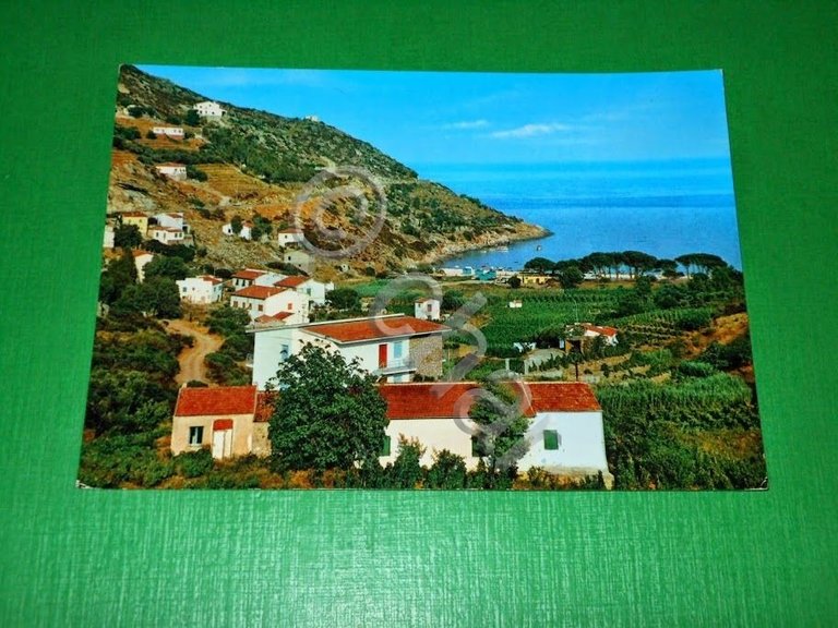 Cartolina Isola d' Elba - Marina di Campo - Fetovaia …