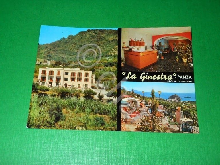Cartolina Isola d' Ischia - Panza - La Ginestra 1960 …