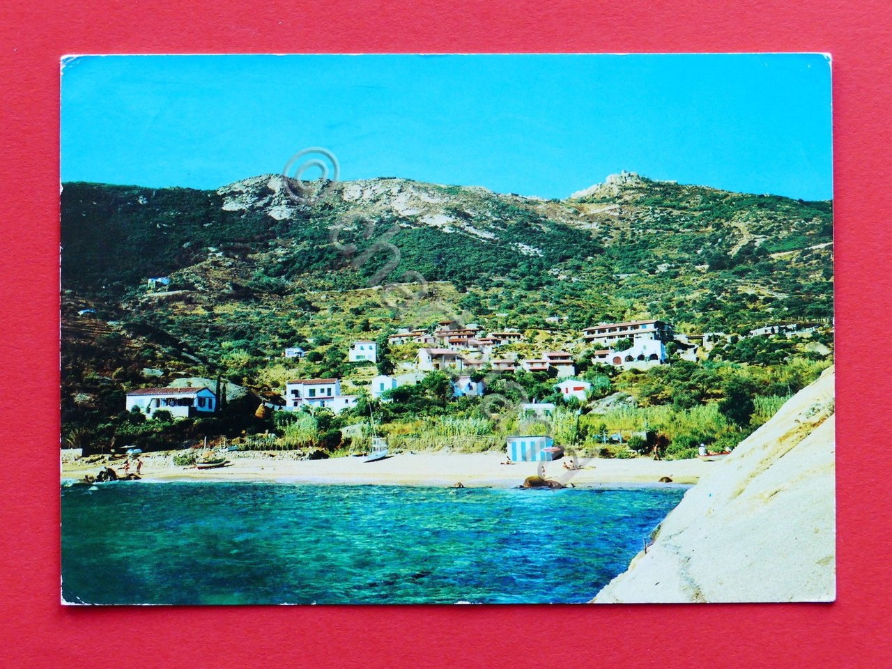 Cartolina Isola del Giglio - Zona Residenziale L'Arenella - 1974.