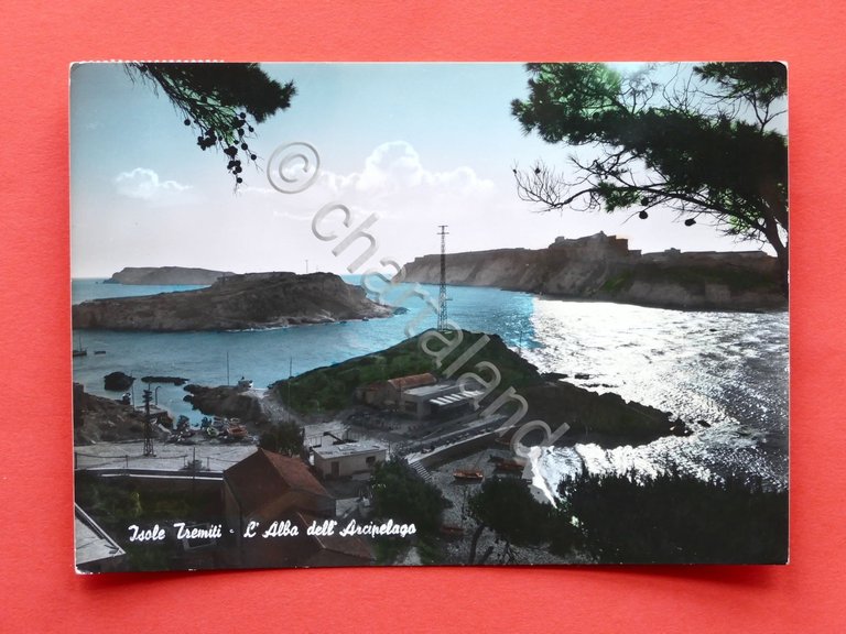 Cartolina Isole Tremiti - L'alba dell'arcipelago - 1960 ca.