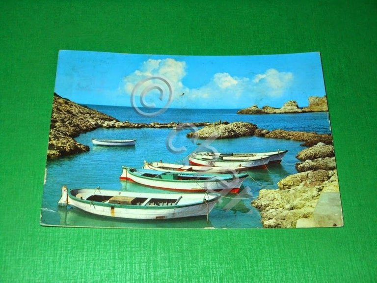 Cartolina Isole Tremiti - S. Domino - Cala degli Schiavoni … | Immagine Gallery 2