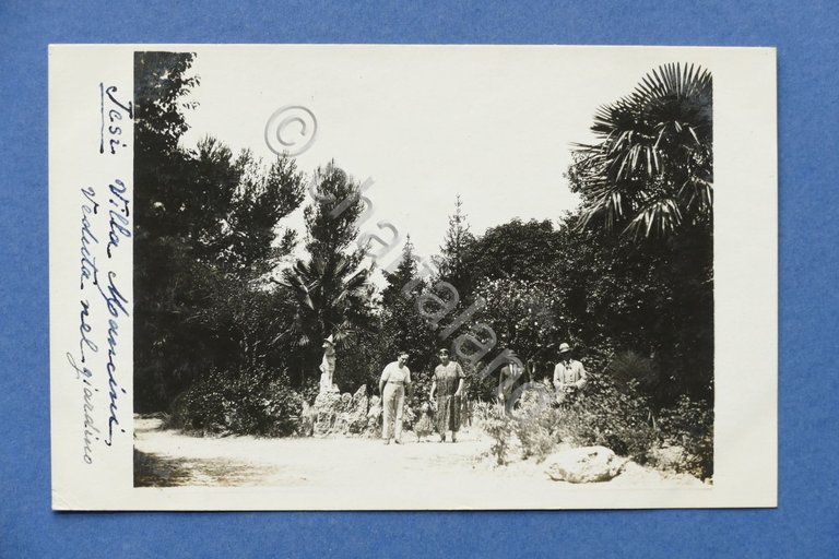 Cartolina Jesi - Villa Mancini - Veduta nel giardino - …