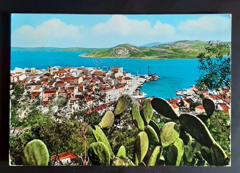 Cartolina La Maddalena - Panorama Parziale - 1960