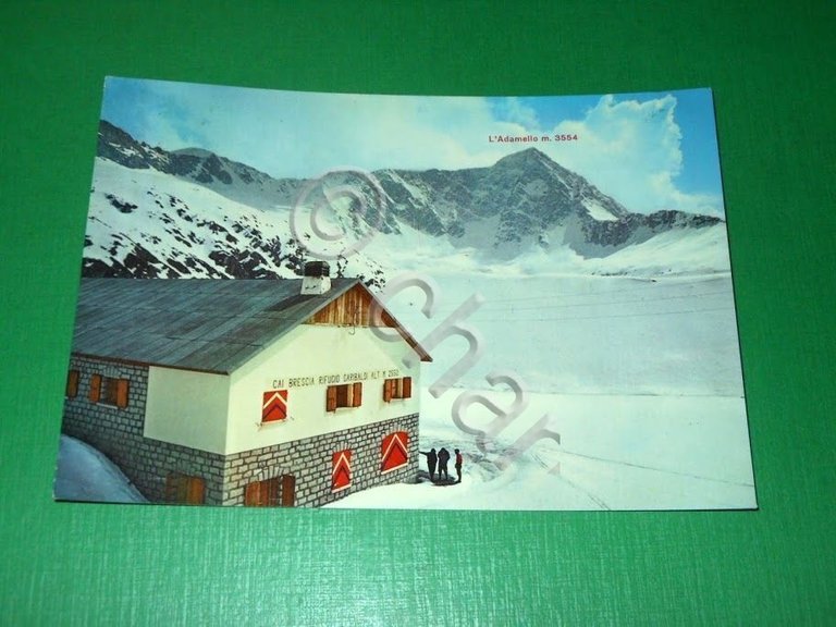 Cartolina La Parete Nord dell' Adamello - Rifugio Garibaldi - …