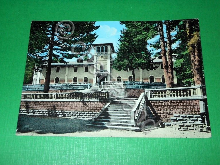 Cartolina La Sila - Federici - Colonia montana Domenico Migliori …