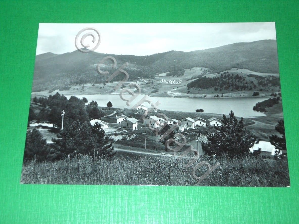 Cartolina La Sila - Lago Arvo - Panorama 1955 ca.