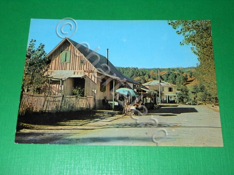 Cartolina La Sila - Muccone - Viale 1960 ca