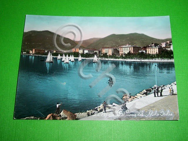 Cartolina La Spezia - Panorama dal Molo Italia 1959
