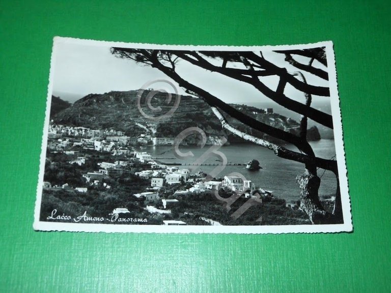 Cartolina Lacco Ameno - Panorama 1959