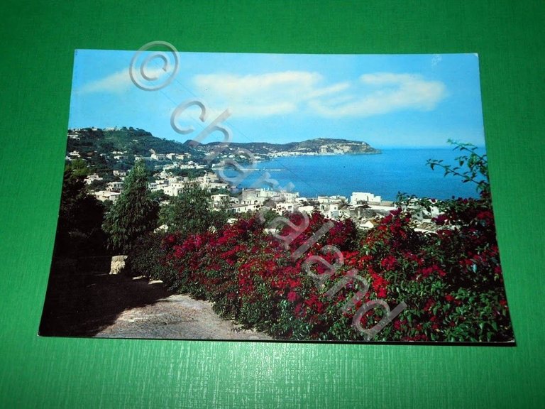 Cartolina Lacco Ameno - Panorama 1969