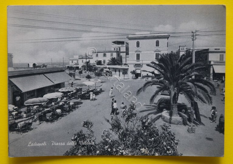 Cartolina Ladispoli Piazza Della Vittoria 1950