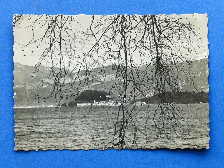 Cartolina Lago di Como - Bellagio - 1941.