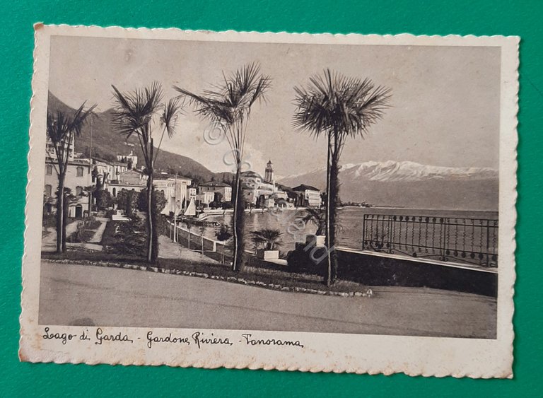 Cartolina Lago di Garda - Gardone Riviera - Panorama - …