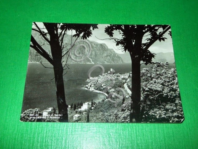 Cartolina Lago di Garda - Malcesine - Armonia 1950.