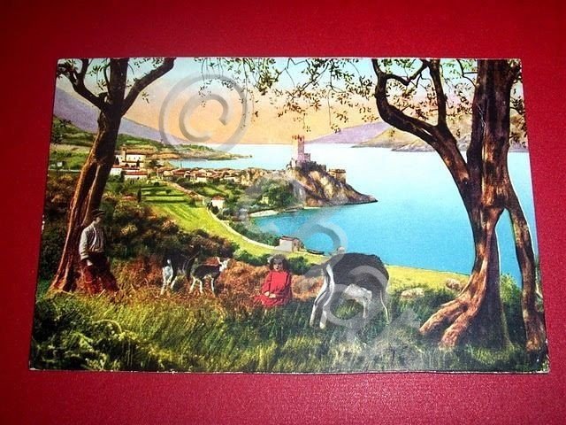 Cartolina Lago di Garda - Malcesine - Panorama - 1920 …