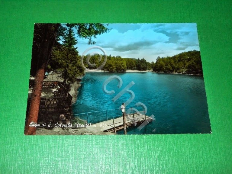 Cartolina Lago di S. Colombo ( Trento ) - Veduta …