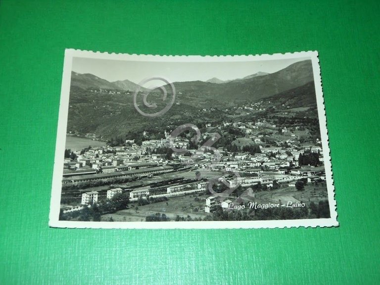 Cartolina Lago Maggiore - Luino - Panorama 1963