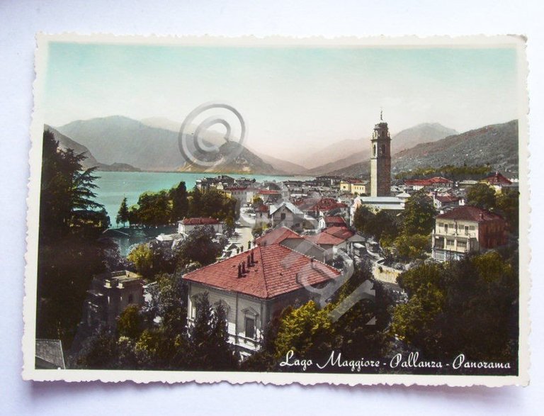 Cartolina Lago Maggiore - Pallanza - Panorama 1954