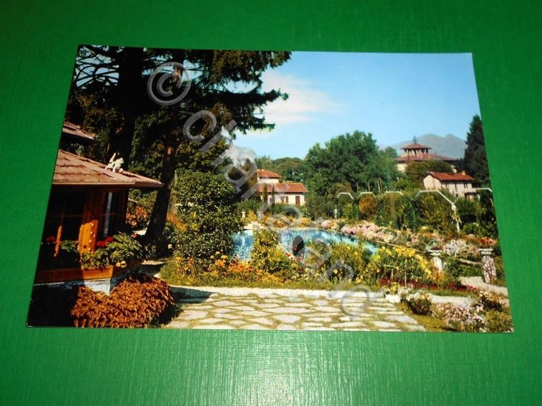 Cartolina Lago Maggiore - Stresa - Villa Pallavicino - Giardini …