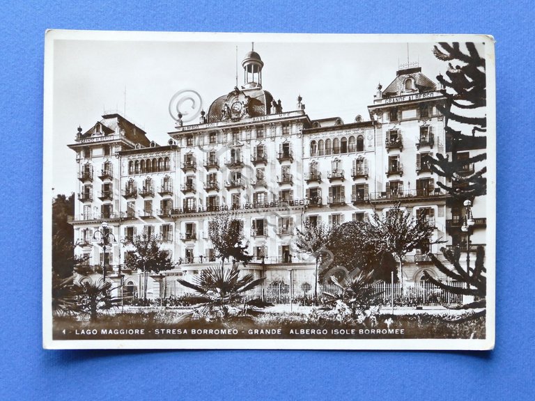 Cartolina Lago Maggiore - Stresa Borromeo - Grande Albero Isole …