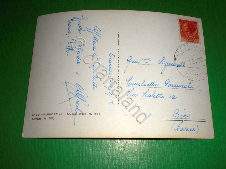 Cartolina Lago Maggiore ed il M. Spalavere - Trarego 1956 | Immagine Gallery 4