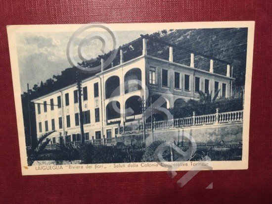 Cartolina Laigueglia Riviera dei Fiori - Saluti dalla Colonia - …