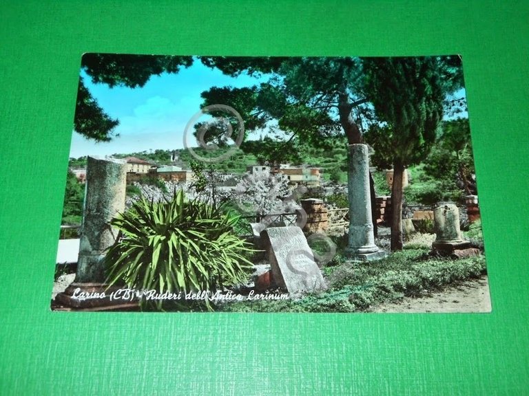 Cartolina Larino ( Campobasso ) - Ruderi dell' Antico Larinum …