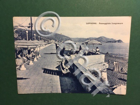 Cartolina Lavagna - Paseggiata Lungomare - 1953