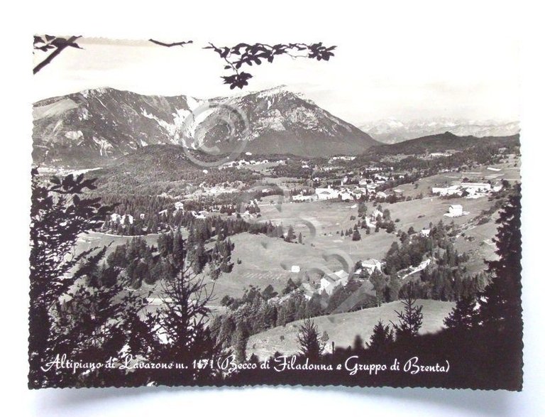 Cartolina Lavarone - Becco di Filadonna - Panorama 1961