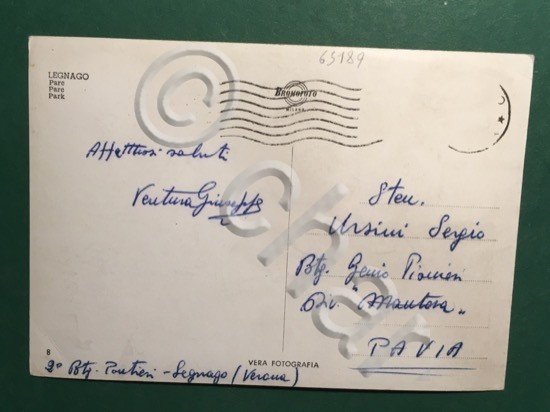 Cartolina Legnago - Parco - 1960
