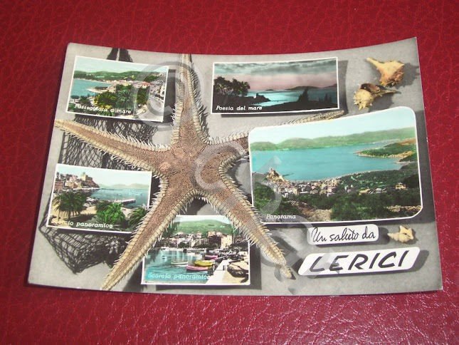 Cartolina Lerici - Vedute diverse 1958.