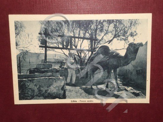 Cartolina Libia - Pozzo Arabo - 1920 ca.