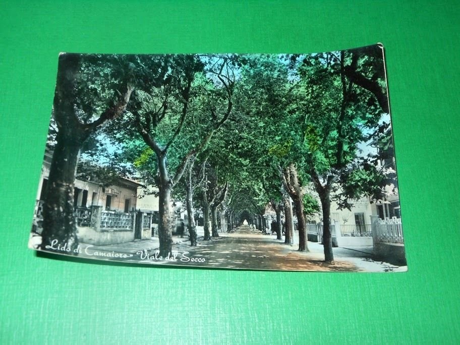 Cartolina Lido di Camaiore - Viale del Secco 1959.