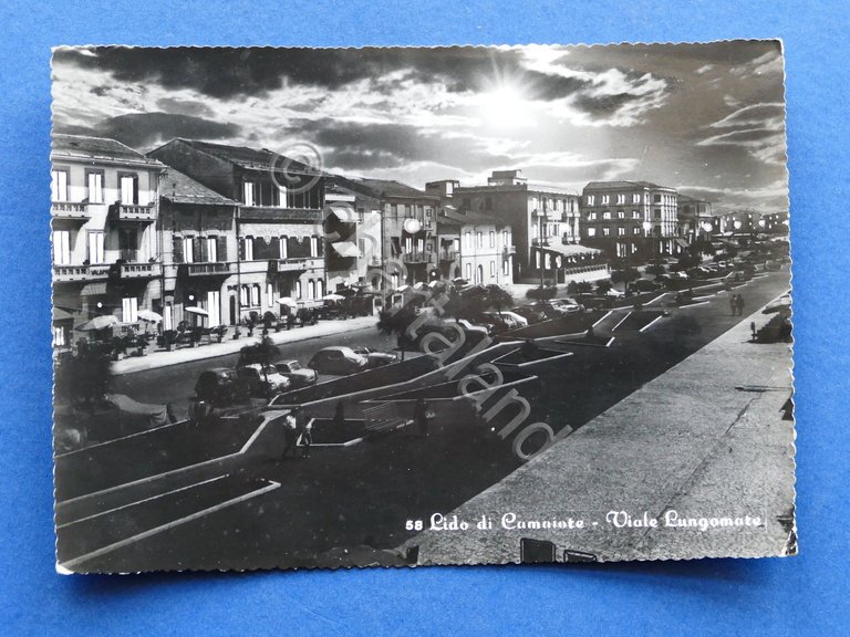 Cartolina Lido di Camaiore - Viale Lungomare - 1960
