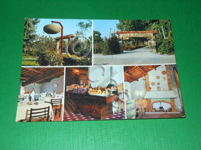 Cartolina Lido di Pomposa ( Ferrara ) - Ristorante Dancing … | Immagine Gallery 2