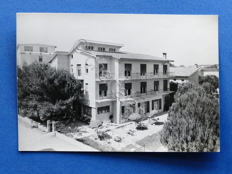 Cartolina Lignano Sabbiadoro - Pensione Florida - 1960 ca.