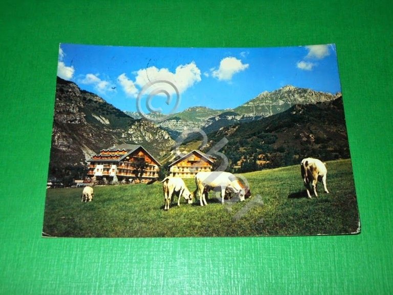 Cartolina Limone Piemonte - Campo Maneggio Complesso Edelweiss 1979 | Immagine Gallery 2