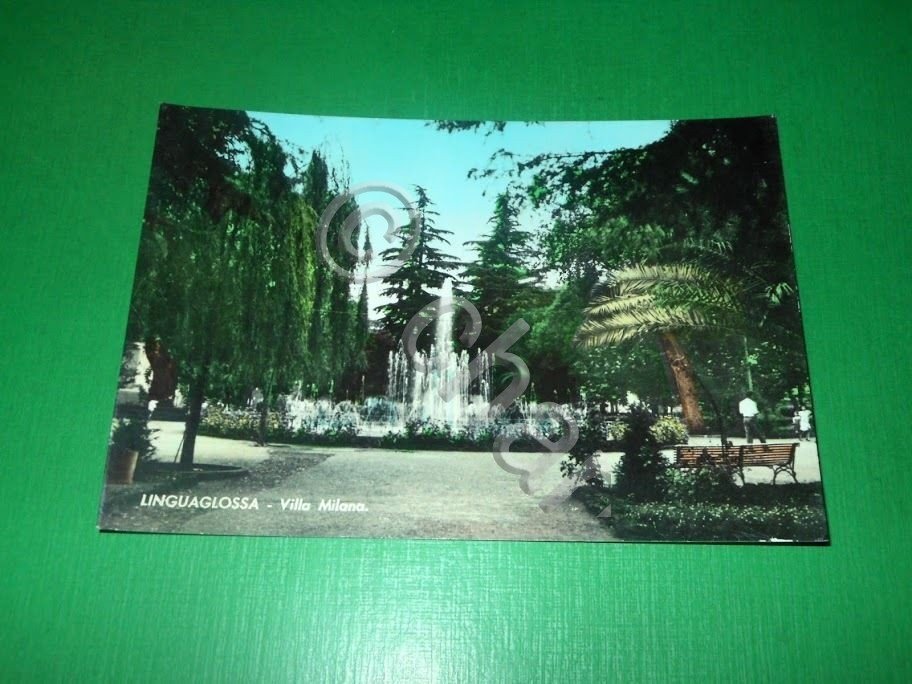 Cartolina Linguaglossa ( Catania ) - Villa Milana 1967.