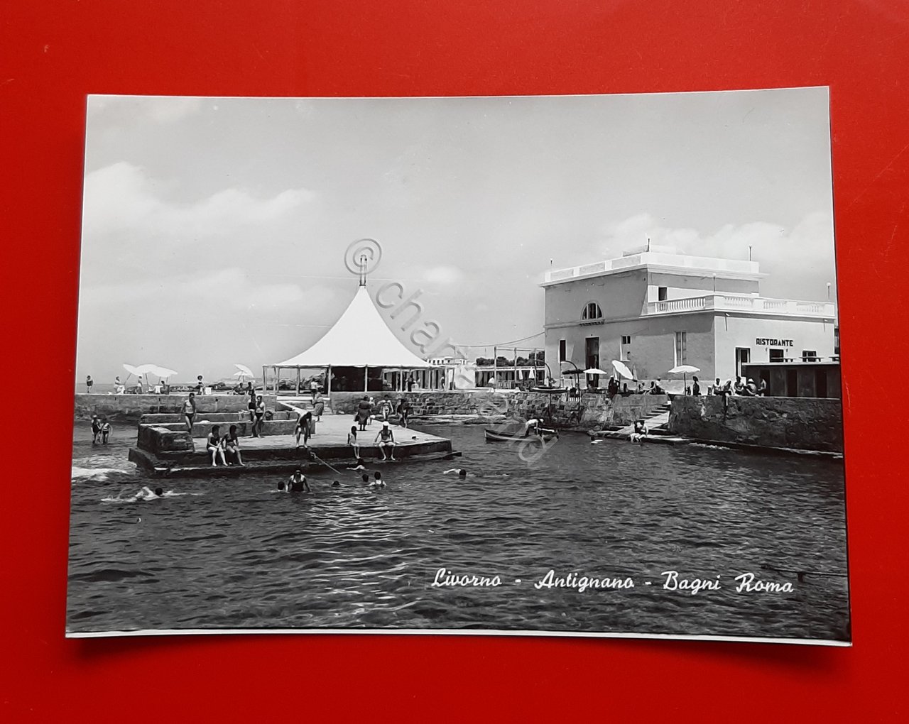 Cartolina Livorno - Antignano - Bagni Roma - 1956