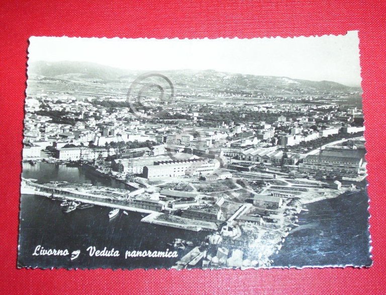 Cartolina Livorno - Panorama generale 1954