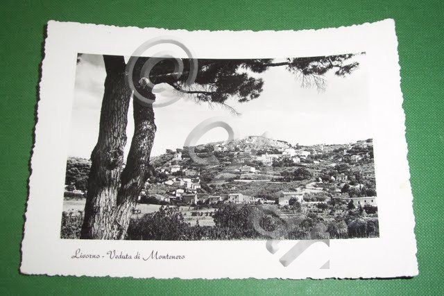 Cartolina Livorno - Veduta di Montenero 1952
