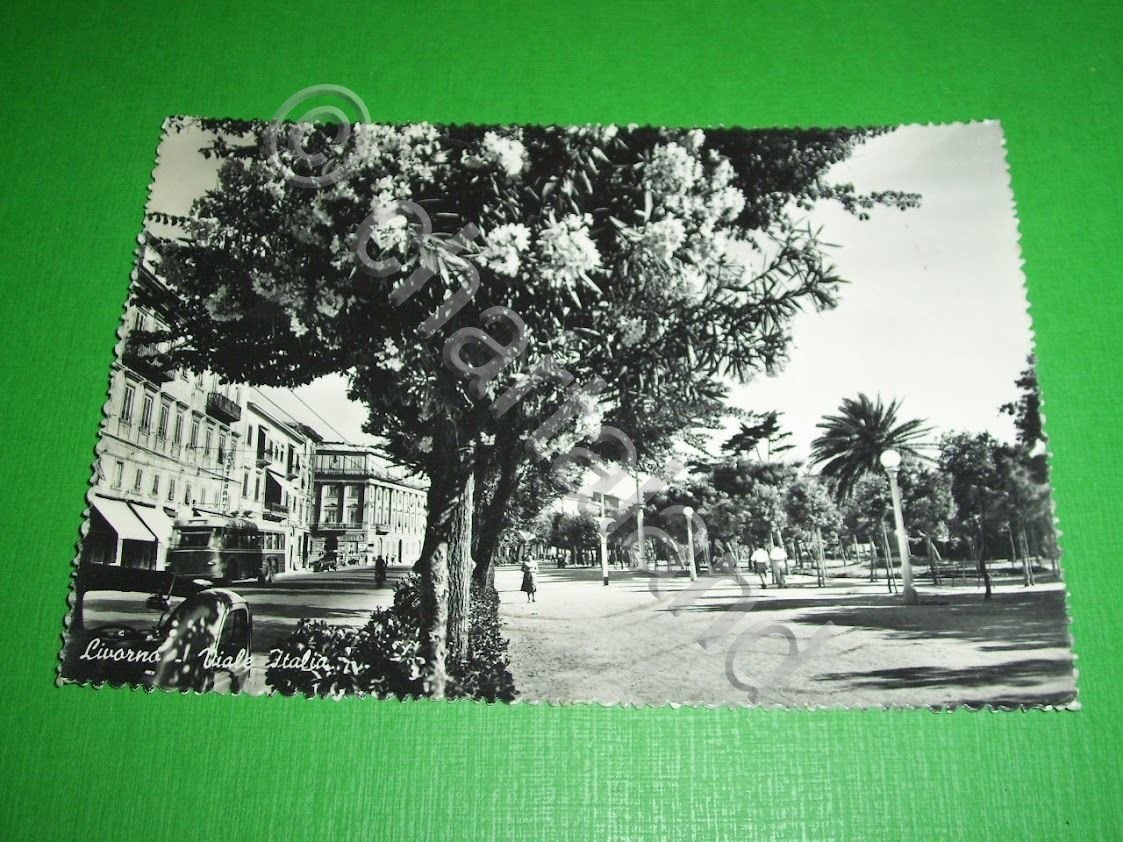 Cartolina Livorno - Viale Italia 1957.