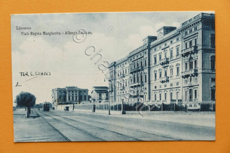 Cartolina Livorno - Viale Regina Margherita - Albergo Palazzo - …